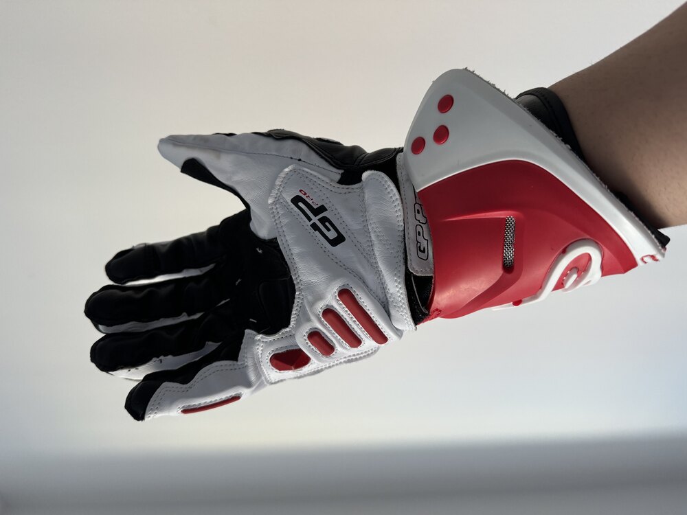 ALPİNESTARS GP pro eldiven