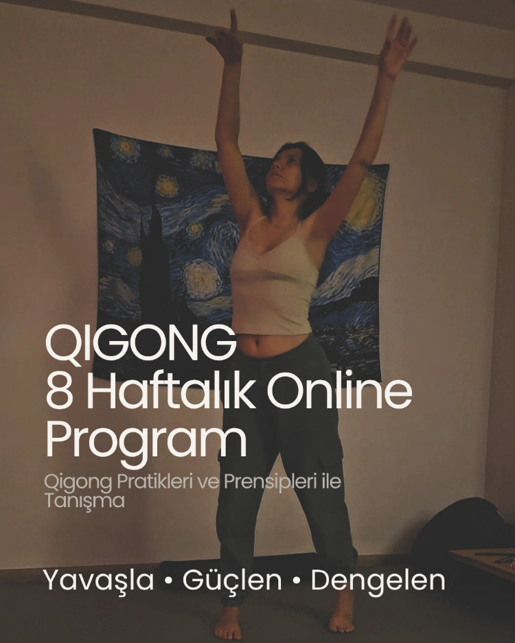 Qigong Pratik ve Prensipleri ile Tanışma