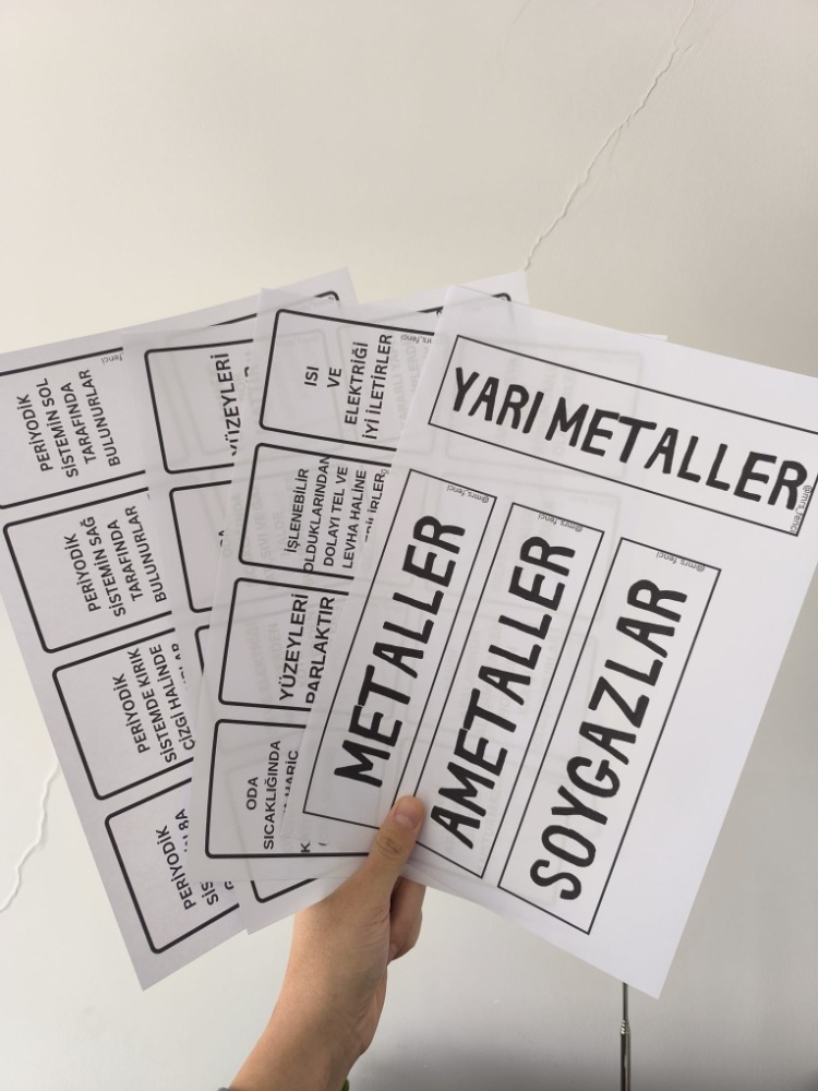 METAL-AMETAL-SOYGAZ FLASH KART