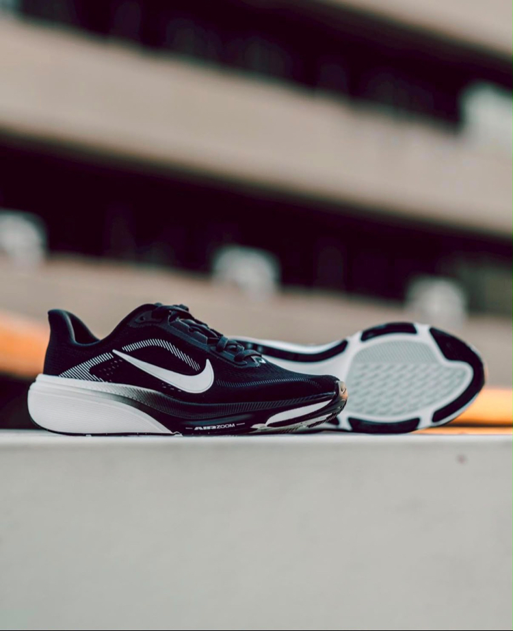 NIKE AİR ZOOM PEGASUS