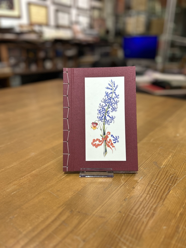 Nōto – Hyacinth (Sünbül)
