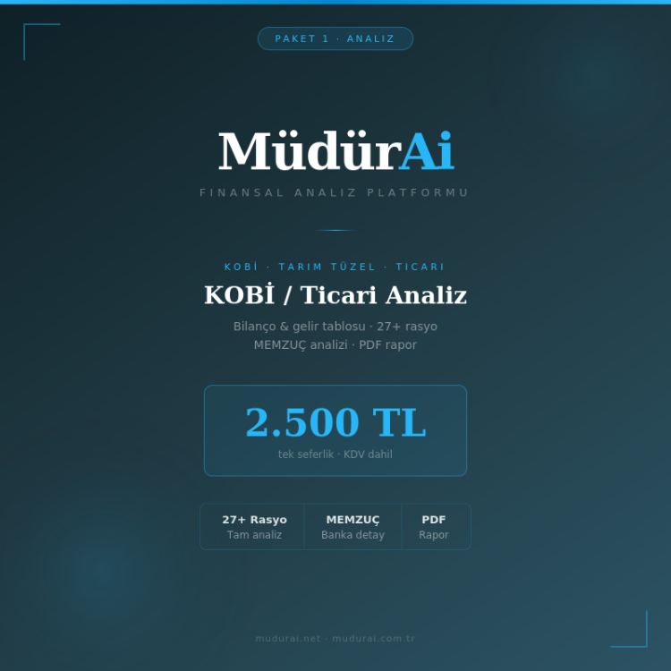 MüdürAI KOBİ / Ticari Analiz