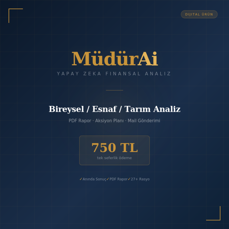 MüdürAI Bireysel/Esnaf/Tarım Analiz