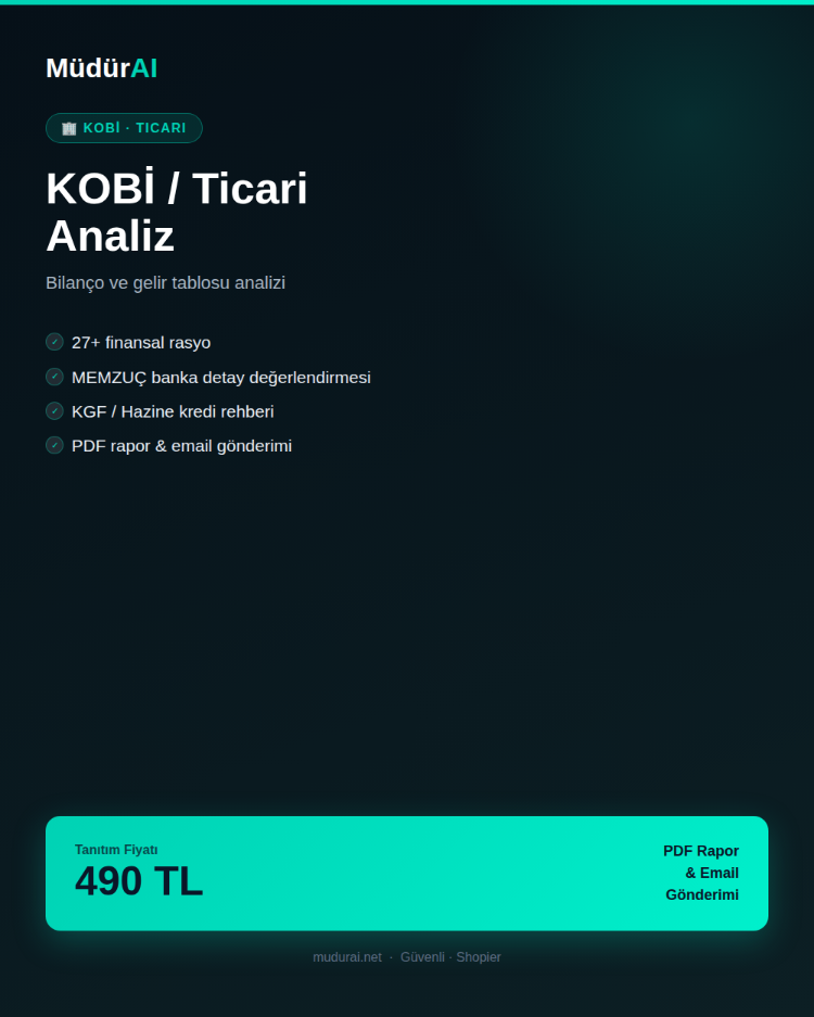 MüdürAI — Ticari Finansal Analizi