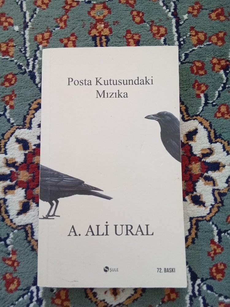 Posta Kutusundaki Mızıka(A.Ali Ural)
