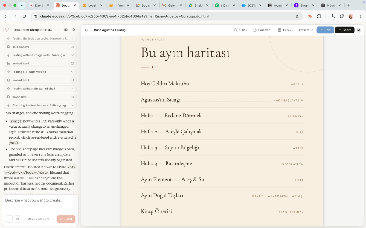 Rasa- Ağustos Ayı Günlüğü