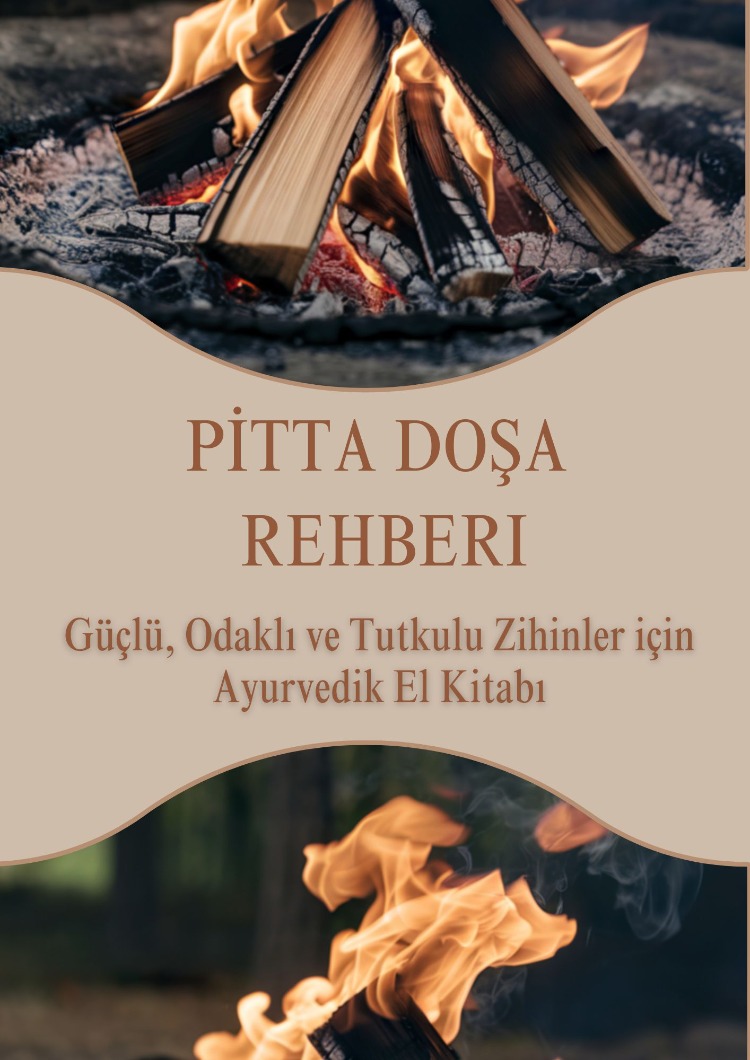 Pitta Doşa Rehberi