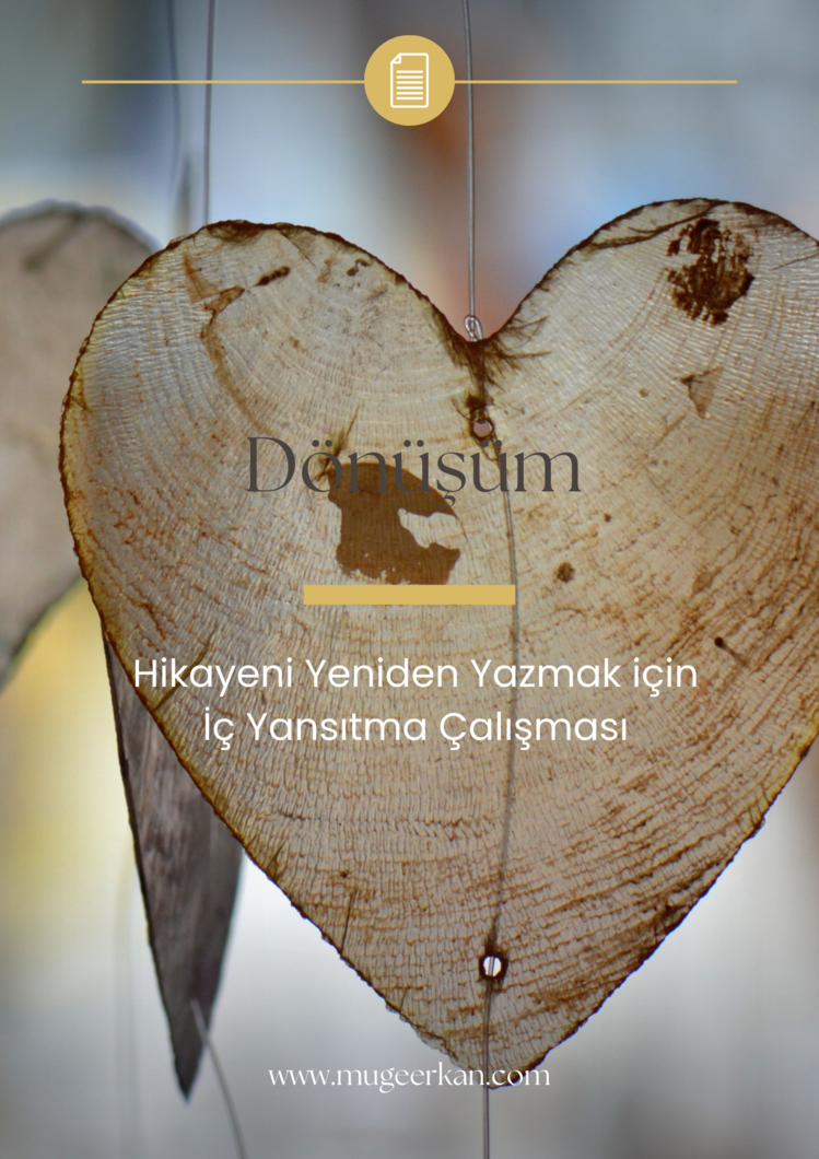 Dönüşüm Çalışma Kitabı
