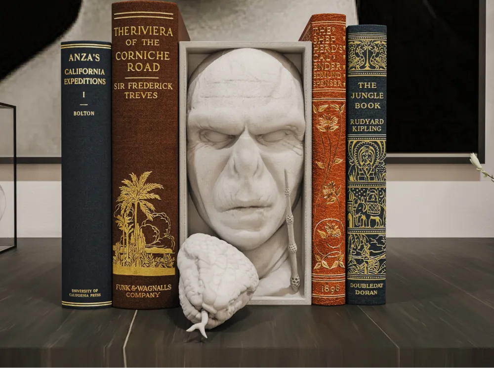 VOLDEMORT KİTAPLIK STANDI