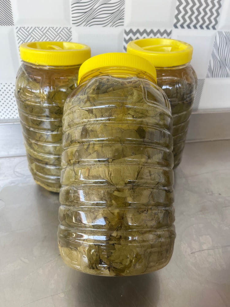 3Lük bidon salamura yaprak 