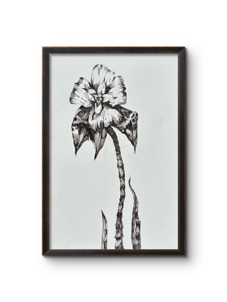 “ Yabani “ Flora