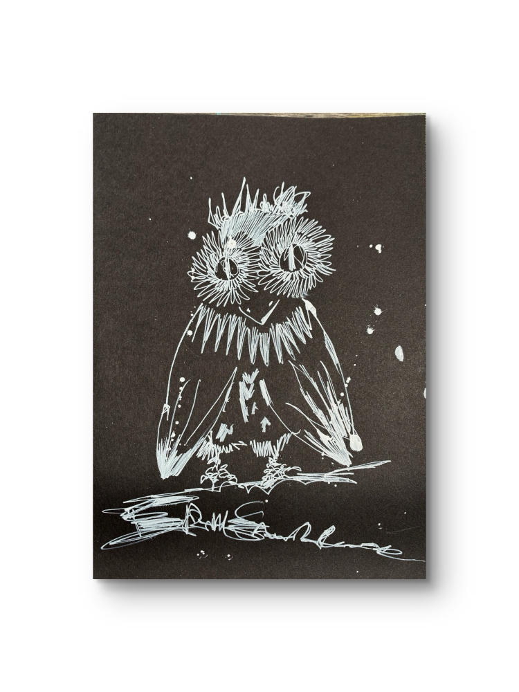 “ Owl “ Animal Series
