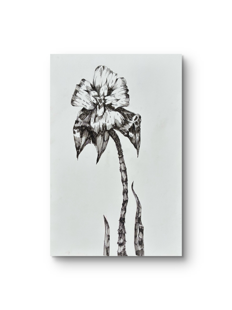 “ Yabani “ Flora