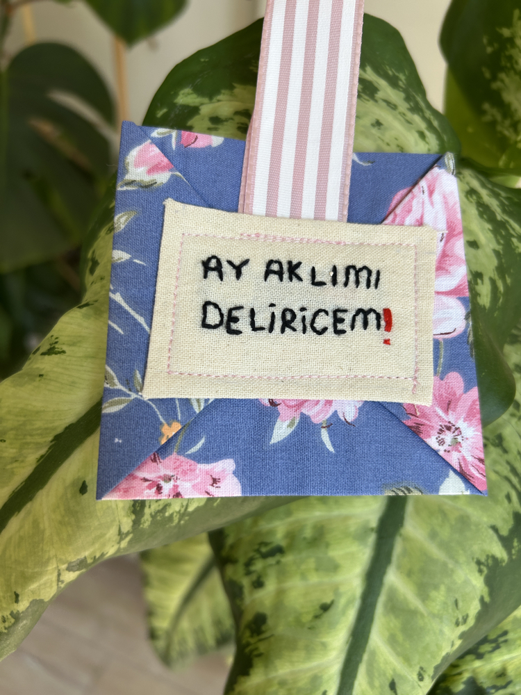 Broş (ay aklımı deliricem)
