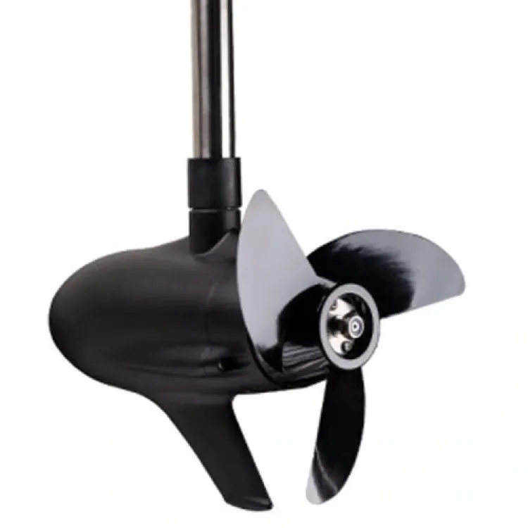 65 LBS ELEKTRİKLİ MOTOR