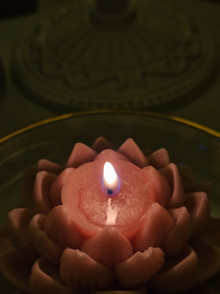 luminous lotus
