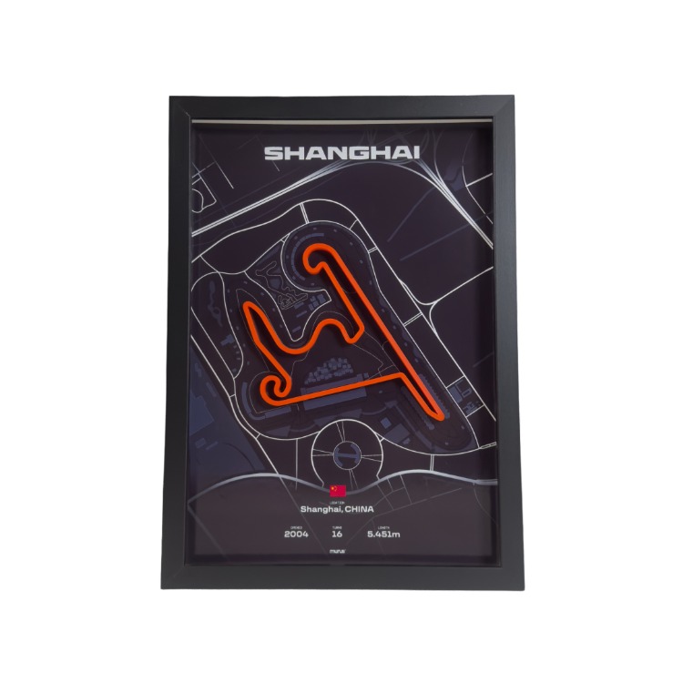 SHANGHAI INTERNATIONAL CIRCUIT 3D PİST TABLOSU
