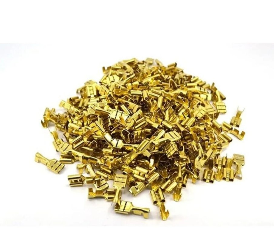 SARI DİŞİ FİŞ (10 ADET)