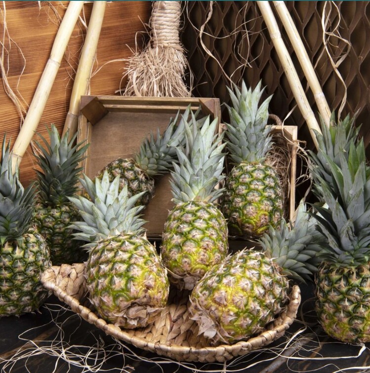 Ananas (Adet)