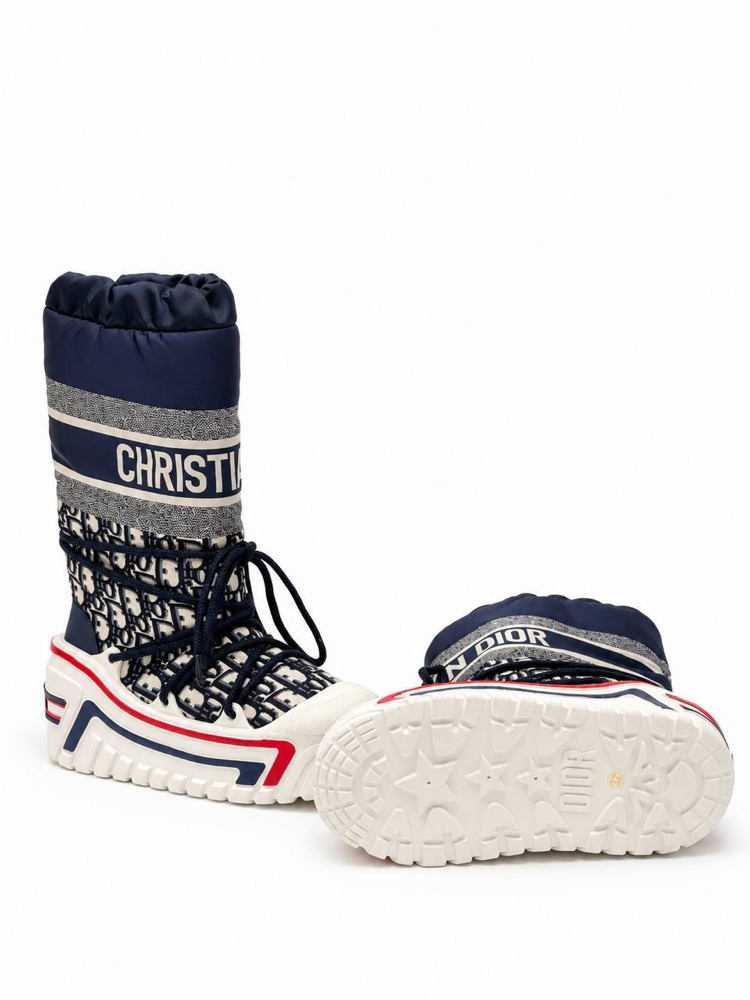 Christian Dior Kar Botu