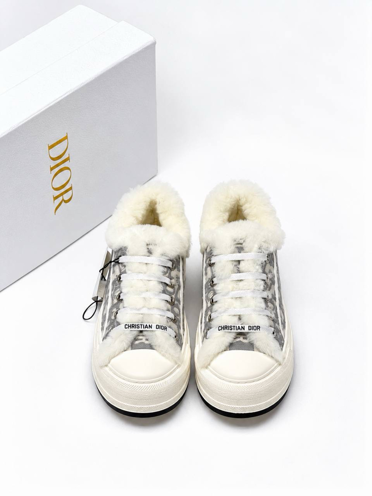 Christian Dior Sneaker