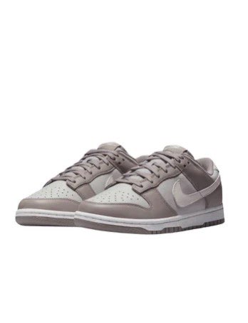 Nike Dunk Low “Vizon”