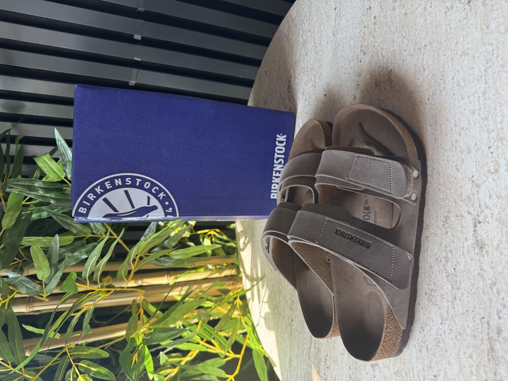 Birkenstock “Vizon”