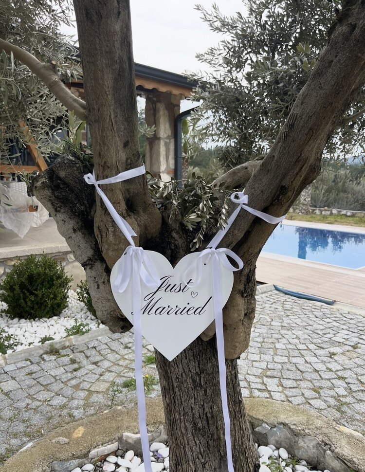 Kalpli Araba/Mekan süsü