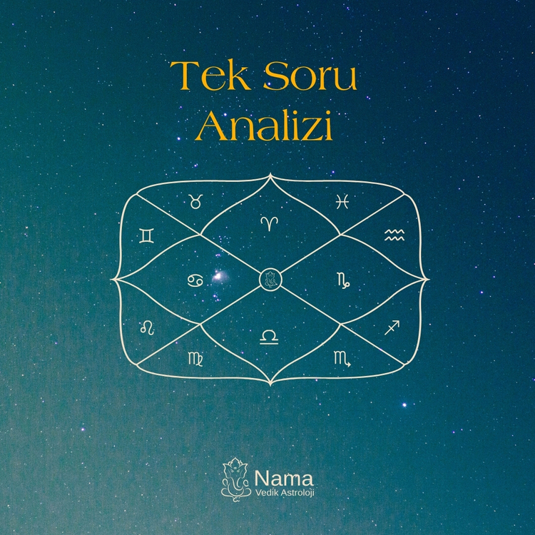 Tek Soru Analizi