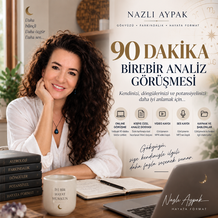 Birebir Analiz