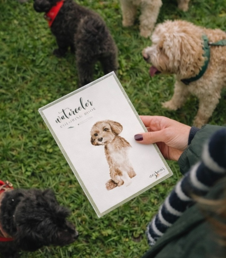 Suluboya Boyama Kitabı | Köpek