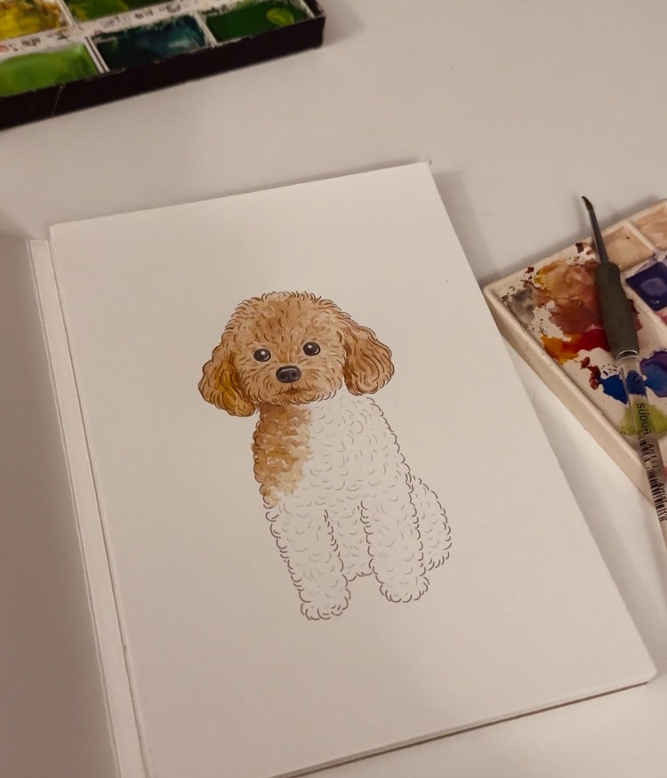 Suluboya Başlangıç Kiti | KÖPEK