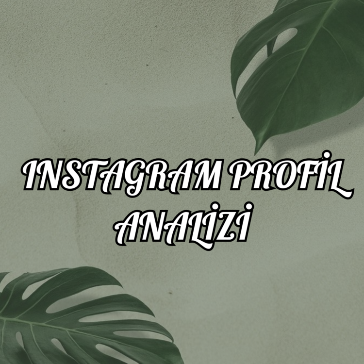 IG PROFİL ANALİZİ
