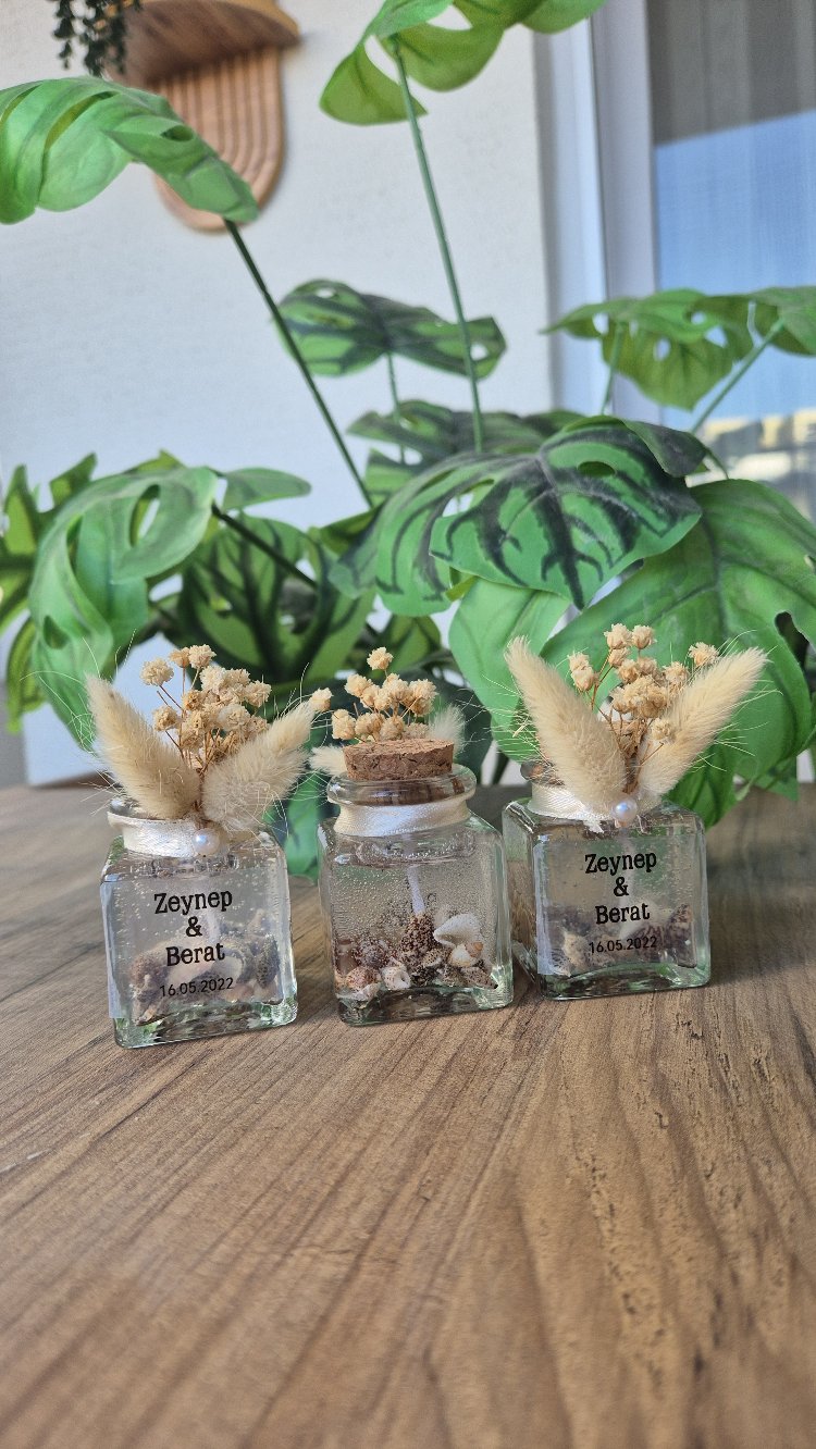 Seashell Anı Mumu