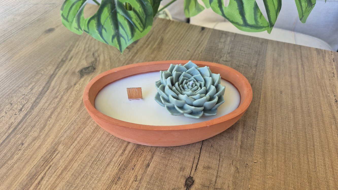 Terra Verde 3