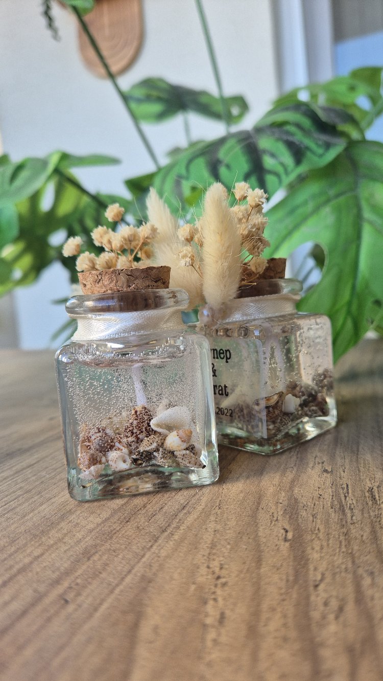 Seashell Anı Mumu