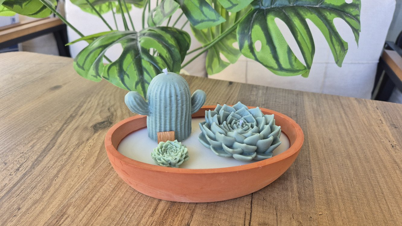Terra Verde 2