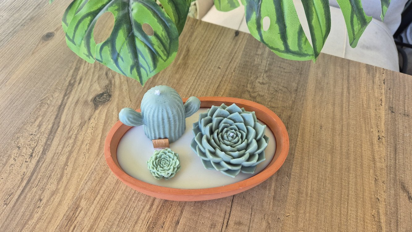 Terra Verde 2