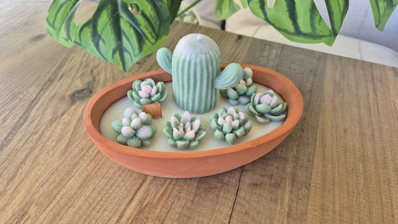 Terra Verde 1