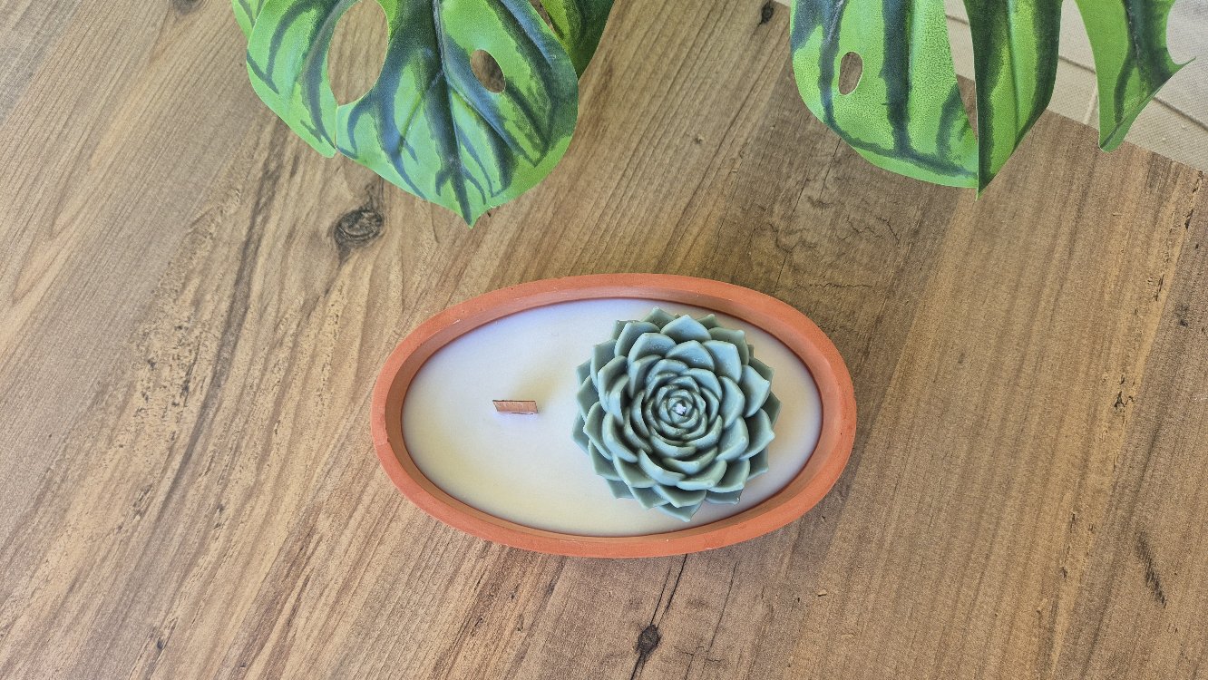 Terra Verde 3