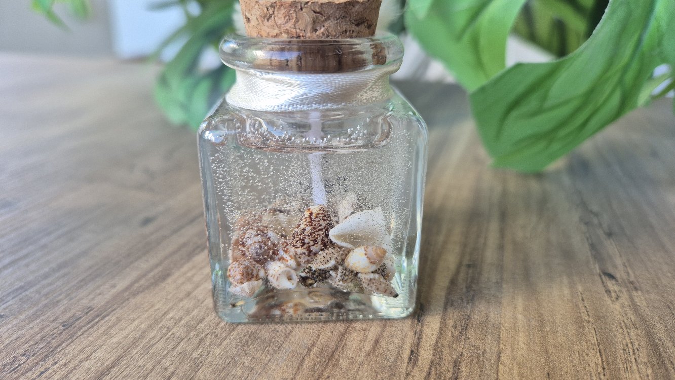 Seashell Anı Mumu