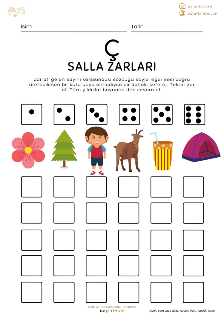 Salla Zarları