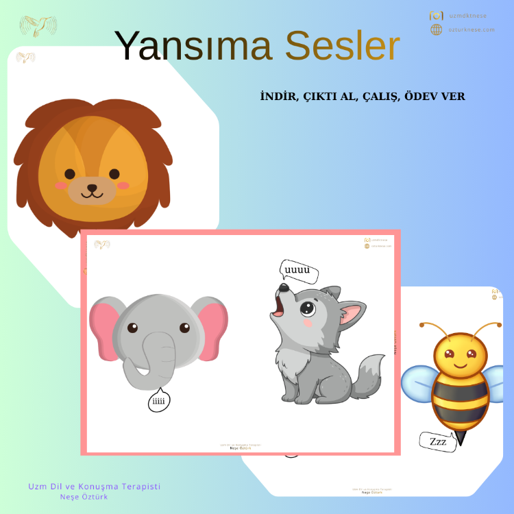 Yansıma Sesler