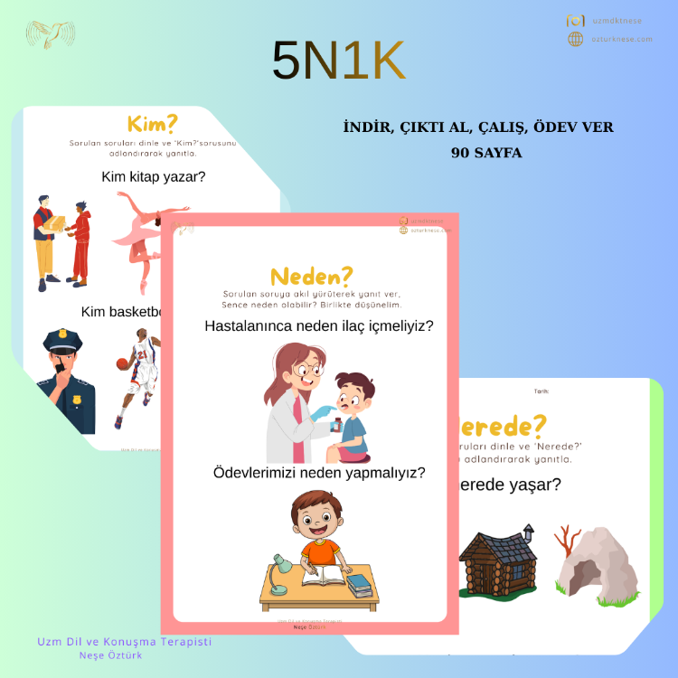 5N1K