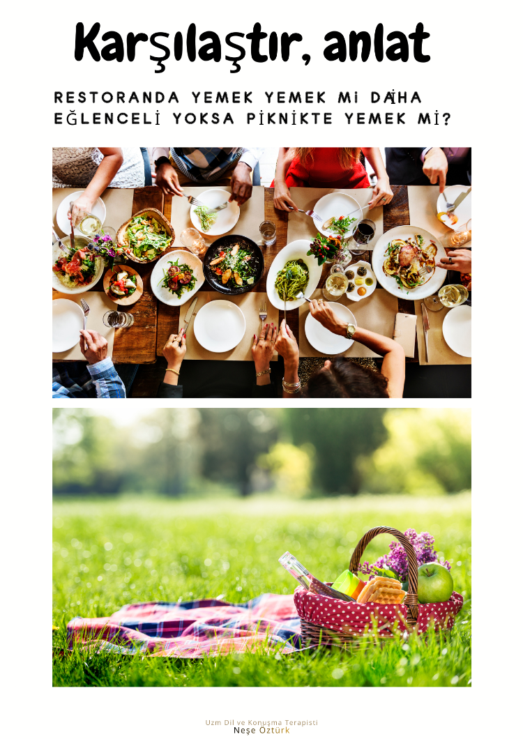 'Piknik' Dil Çalışma Dosyası