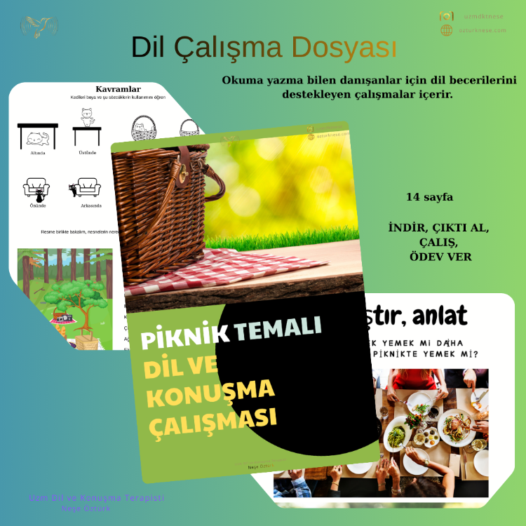 'Piknik' Dil Çalışma Dosyası