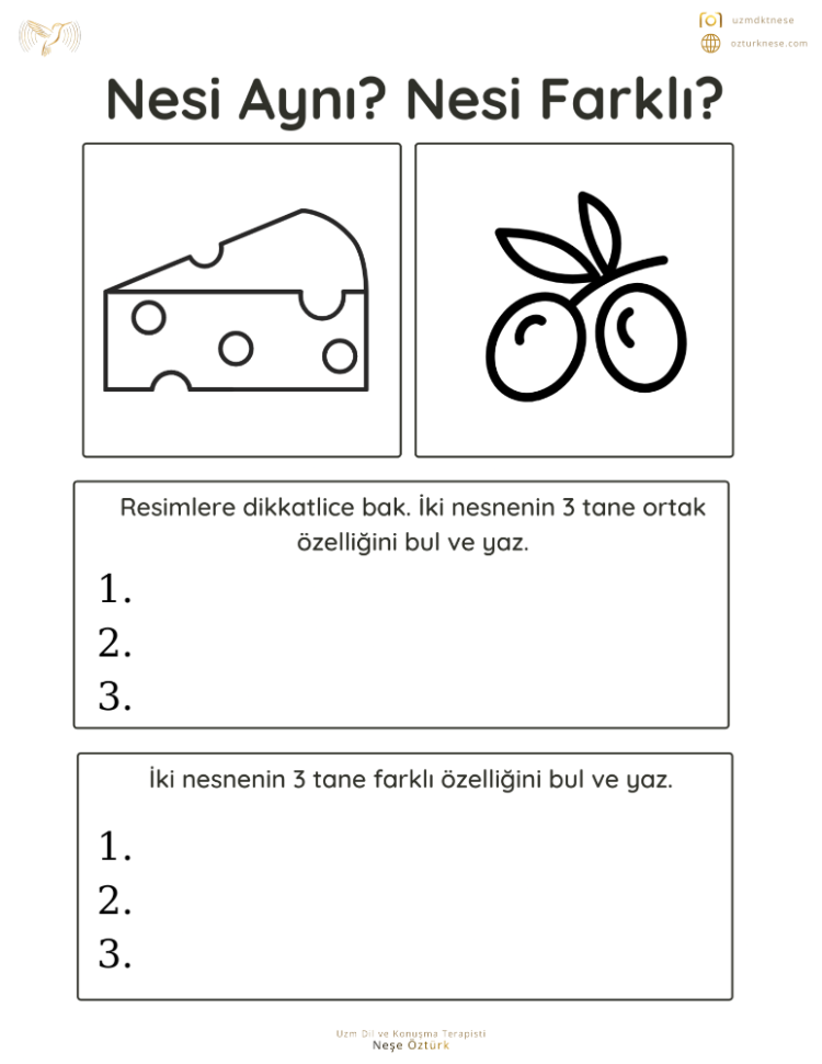 Aynı-Farklı