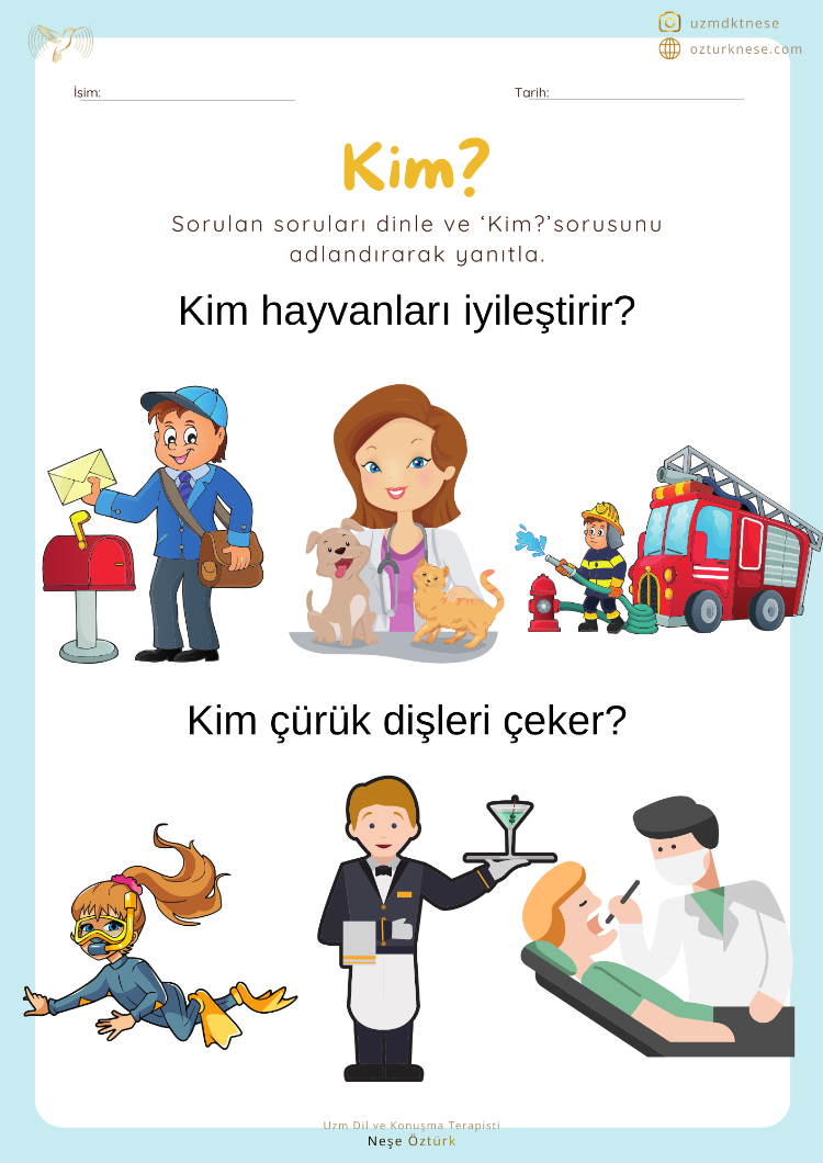 5N1K