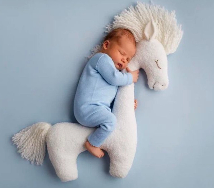 Horse Poz Yastığı (Ayağı açık duran model)