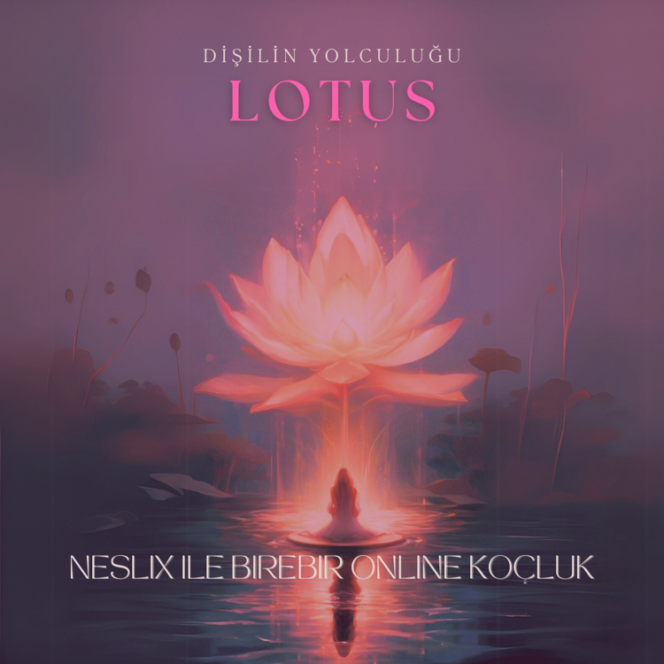 Lotus: Dişilin Yolculuğu